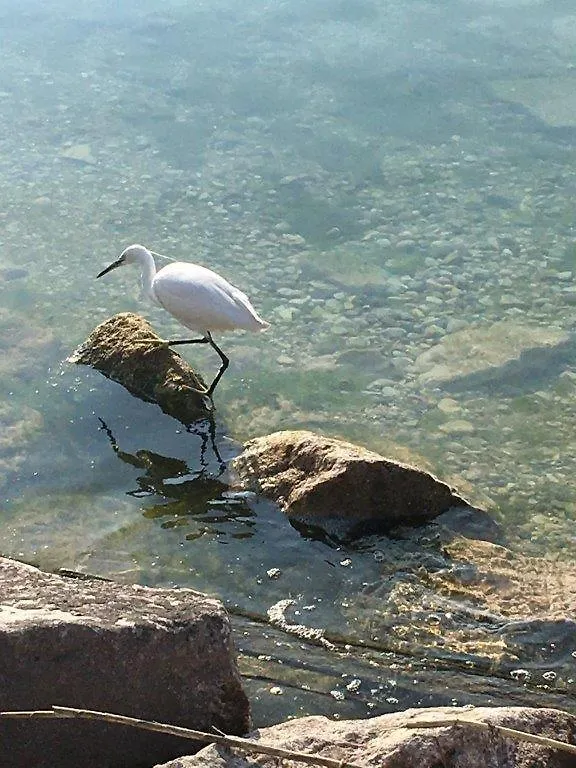 Olivenblatt 4 Διαμέρισμα Μπαρντολίνο 0*,  Ιταλία